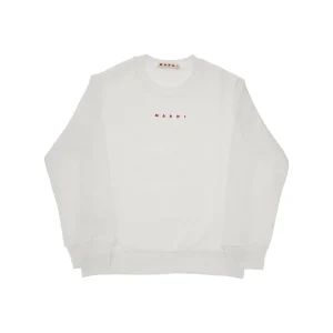 Fashion Crewneck sweatshirt with logo print Kids/BOY Clothing