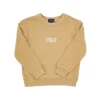 Fashion Logo embroidery crewneck sweatshirt Kids/BOY Clothing