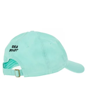 New Organic cotton embroidered baseball cap Hats And Gloves