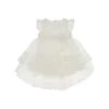 Hot Tulle baby dress with lace and flower brooch Kids Clothing
