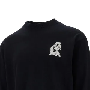 Fashion Wool crewneck sweater with embroidery Knitwear