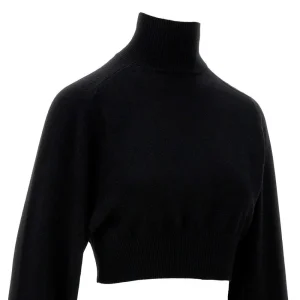 Online Wool cropped sweater Knitwear