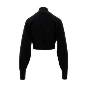 Online Wool cropped sweater Knitwear